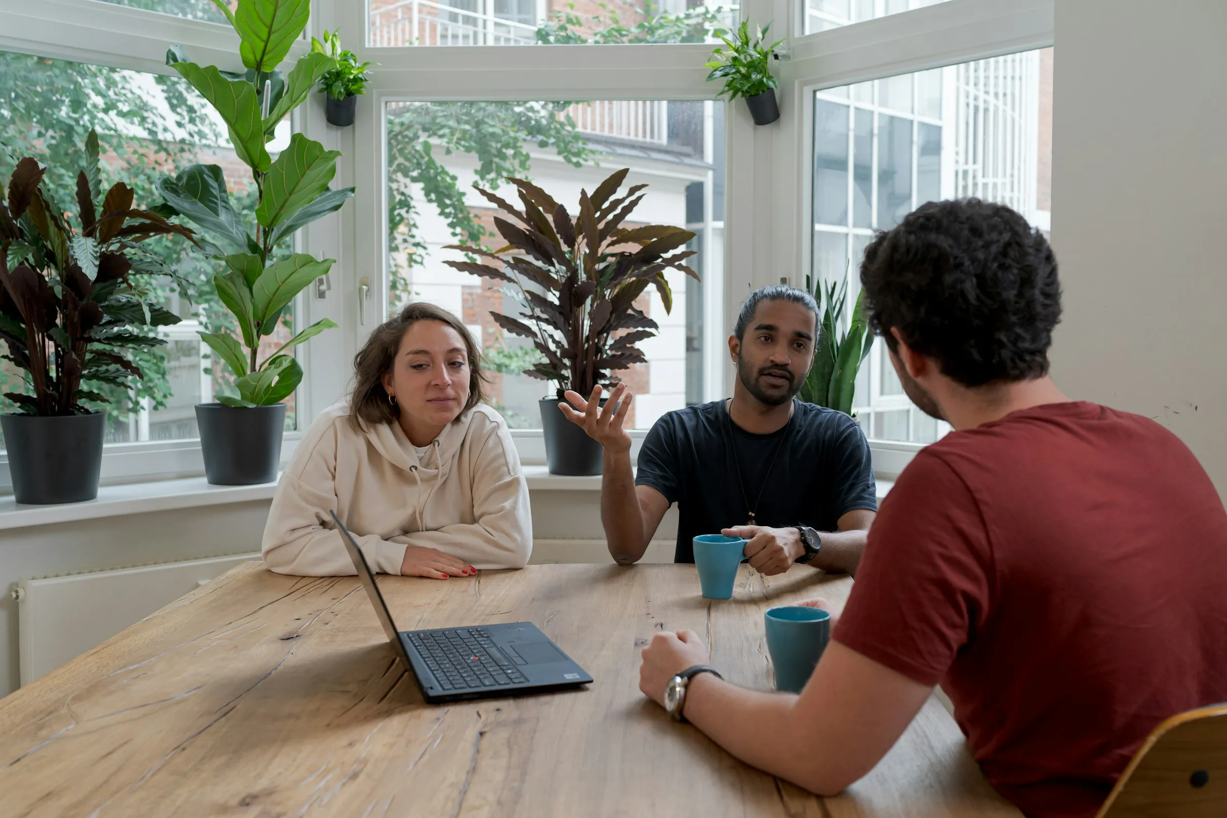 Three people talking around a table, in a bright room full of plants