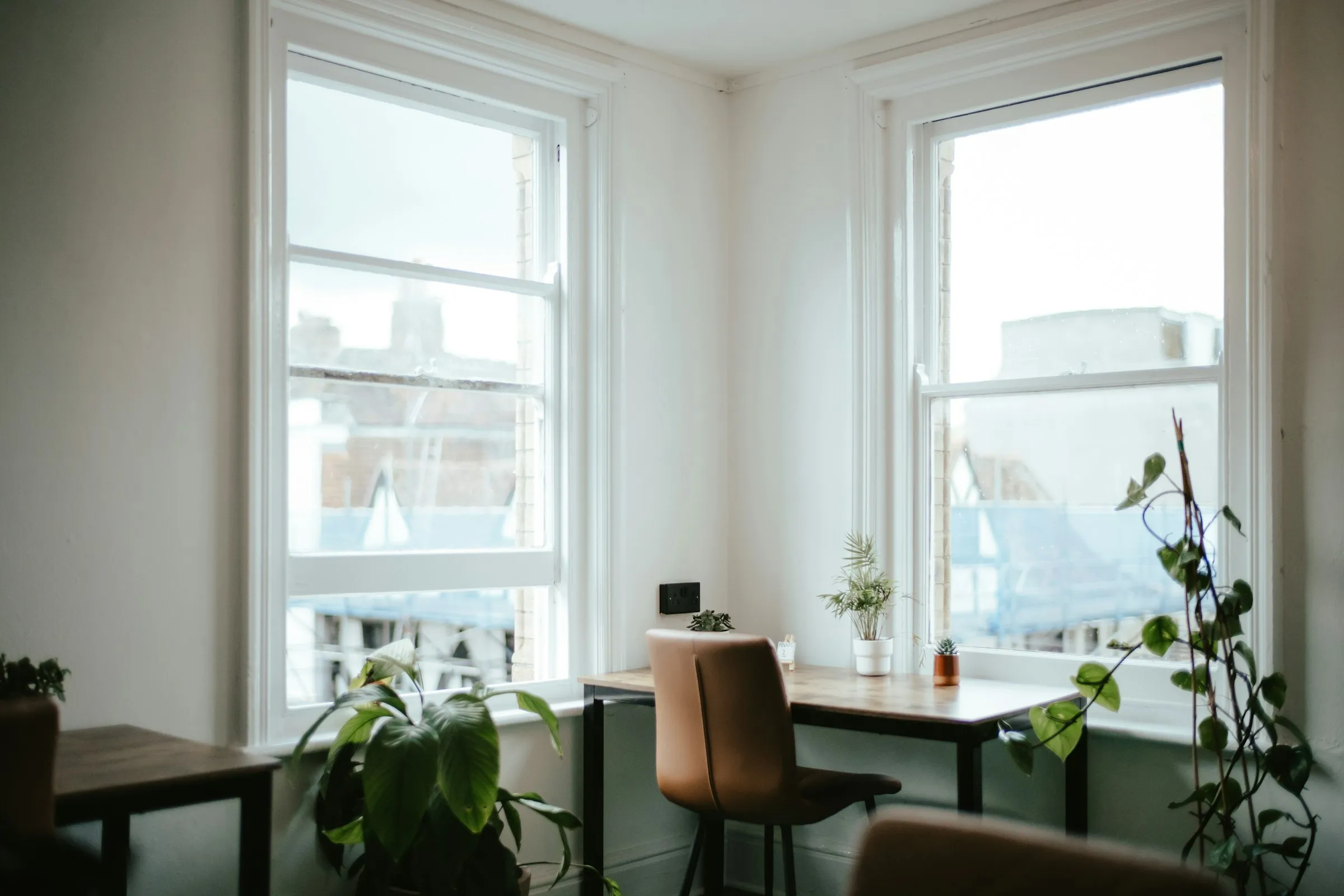 A calm, empty office with plants by tall windows